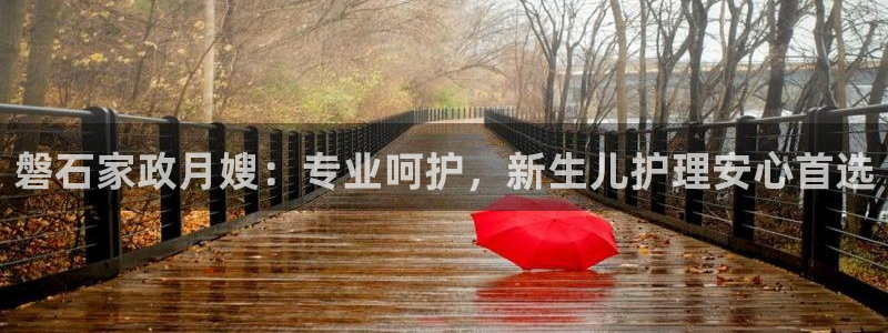 杏悦平台登录网址查询