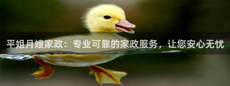 杏悦官网注册信息查询