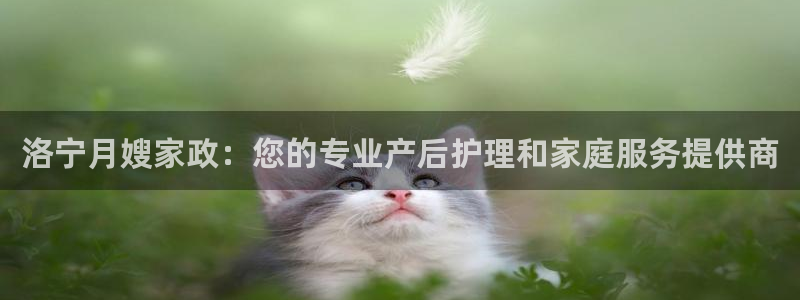 杏悦平台开户地址怎么改