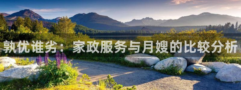 杏悦官网注册信息在哪里看