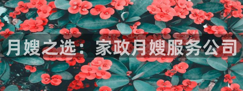 杏悦平台登录网址