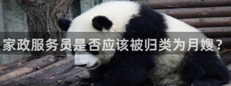 杏悦平台代理怎么样可靠吗