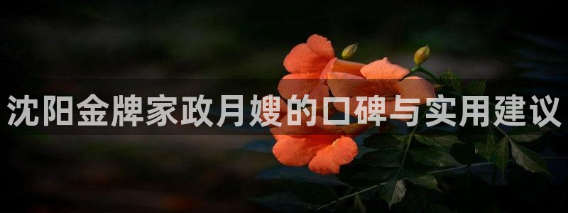 杏悦官网登录入口网址是多少