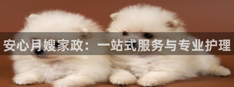 杏悦平台代理怎么赚钱快