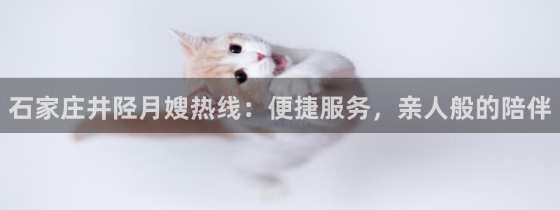 杏悦平台登录网址是什么