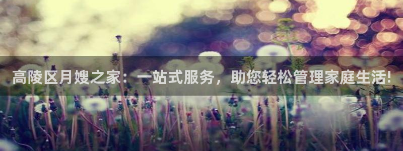 杏悦平台登录地址在哪里