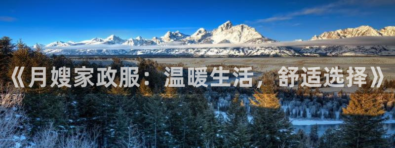 杏悦平台代理注册流程