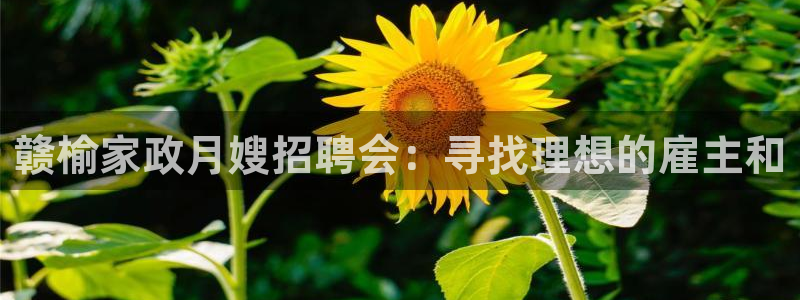 杏悦平台登录地址