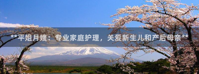 杏悦平台登录入口官网