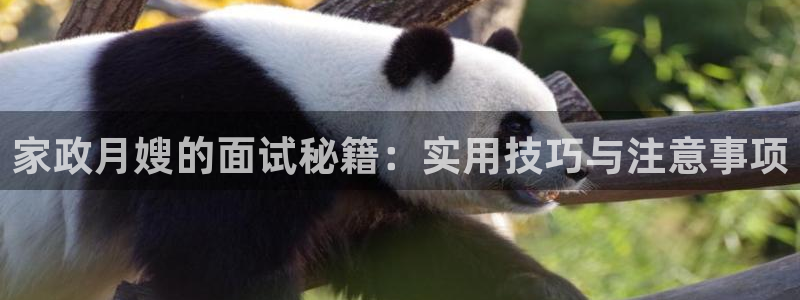 杏悦平台代理注册