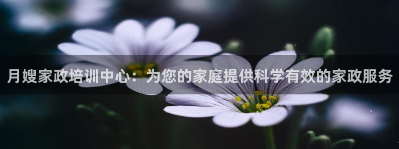 杏悦平台代理注册