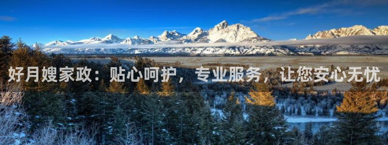 杏悦平台代理注册流程