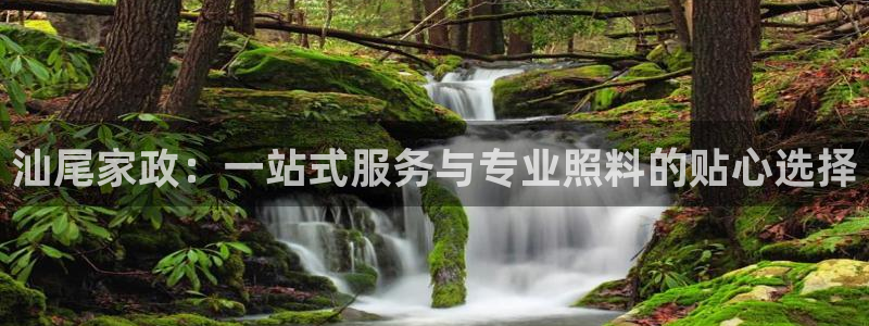 杏悦平台代理怎么赚钱