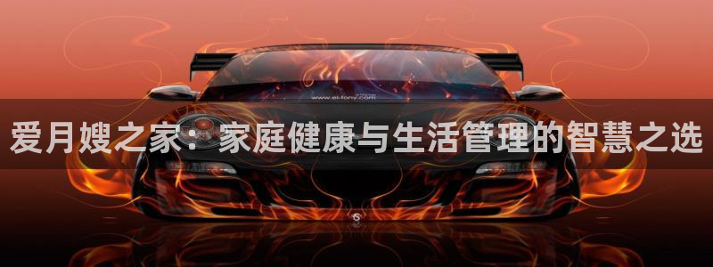 杏悦平台代理注册流程