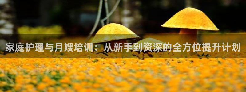 杏悦平台注册地址