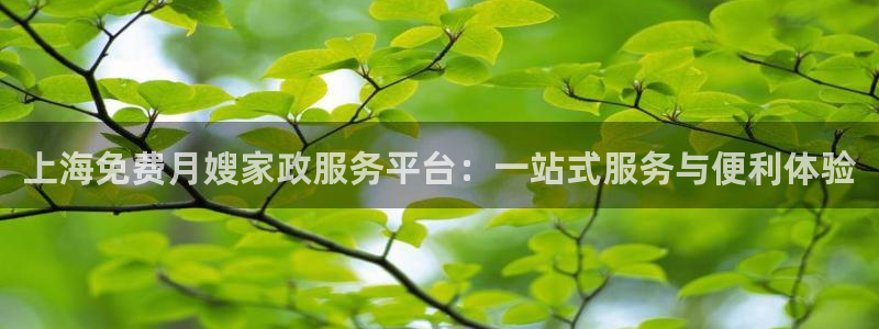 杏悦官网注册信息是什么样的