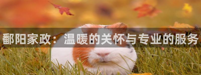 杏悦平台官网注册