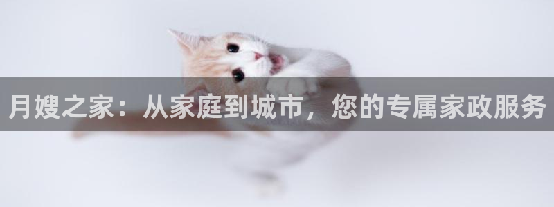 杏悦娱乐是什么