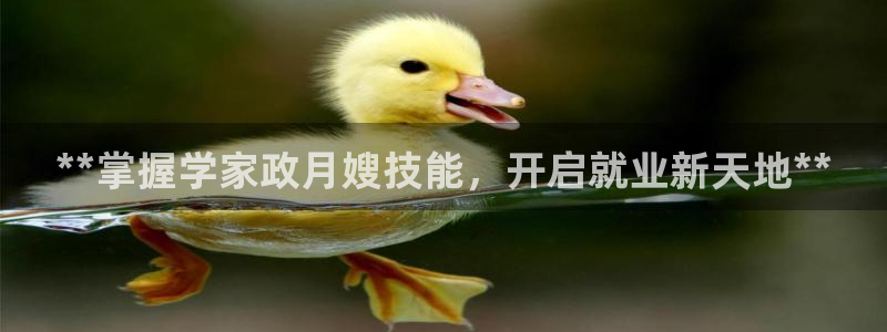 杏悦平台登录网址