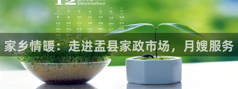 杏悦平台登录地址是什么