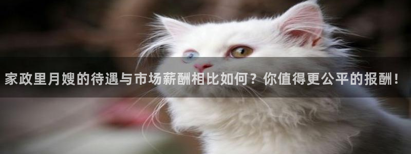 杏悦平台线路测速